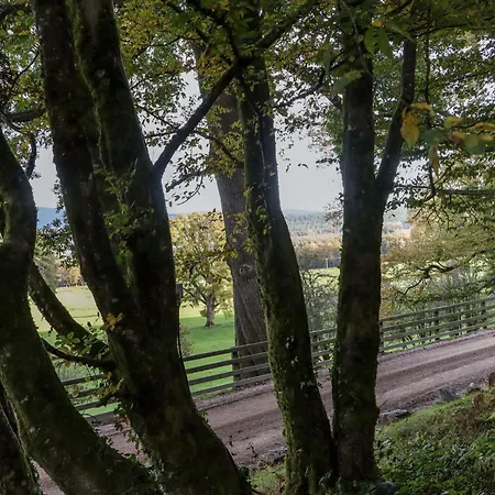 Ballybeg Pod 1 * Arklow