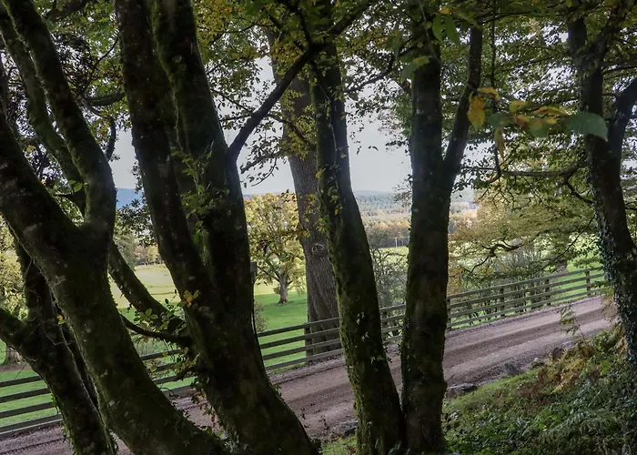 Ballybeg Pod 1 * Arklow